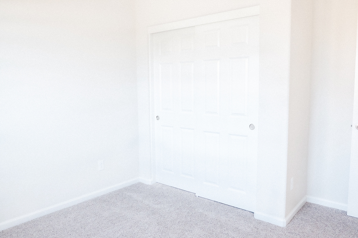 Closet in guest bedroom