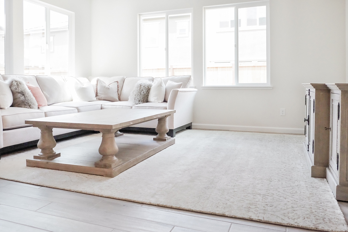 Restoration Hardware coffee table, TV media console table and rug