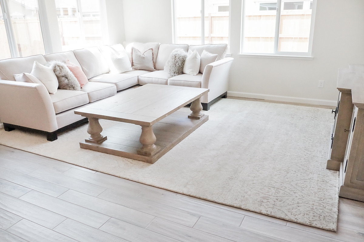 Restoration Hardware coffee table, TV media console table and rug